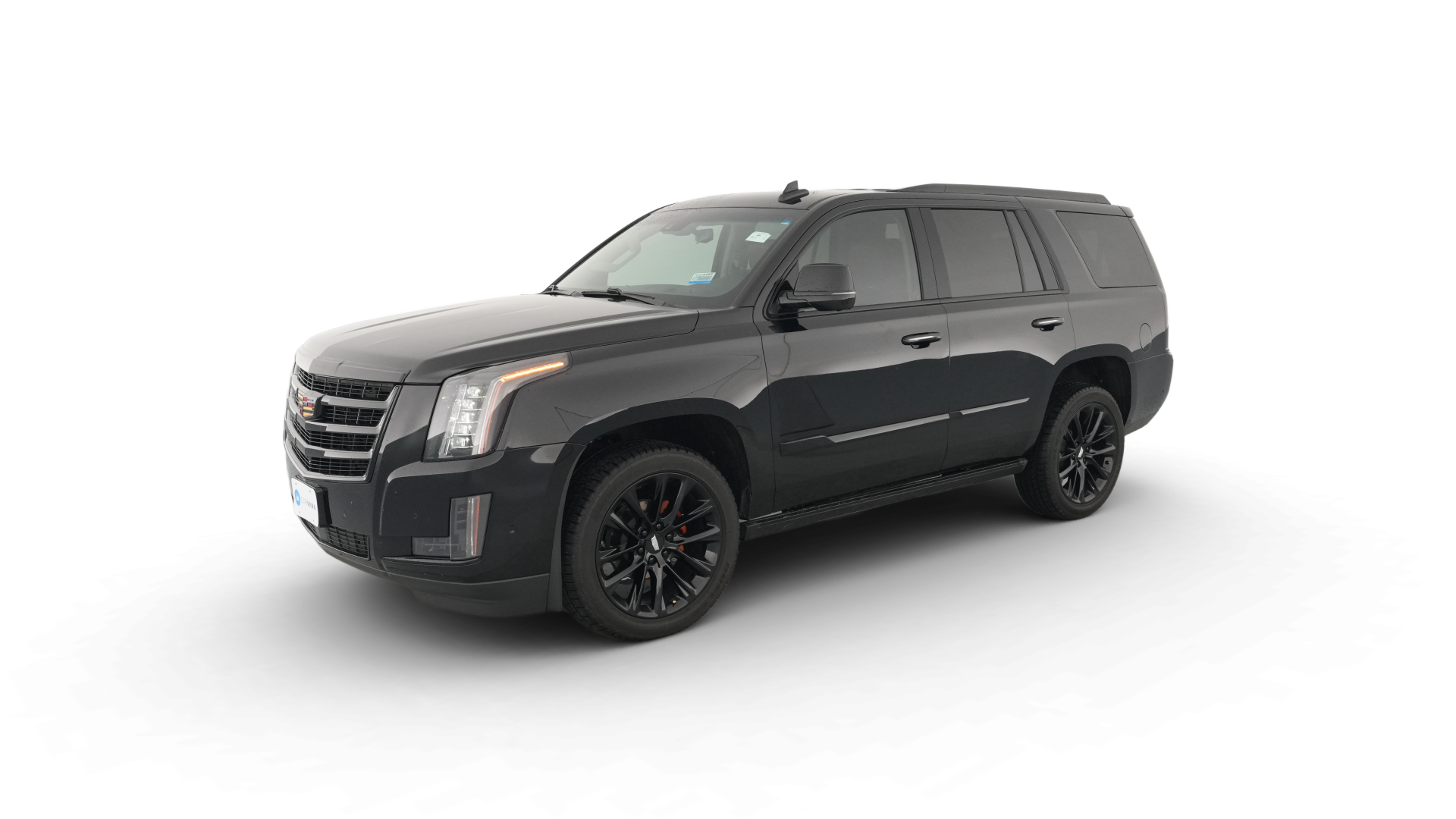 2019 Cadillac Escalade vehicle photo