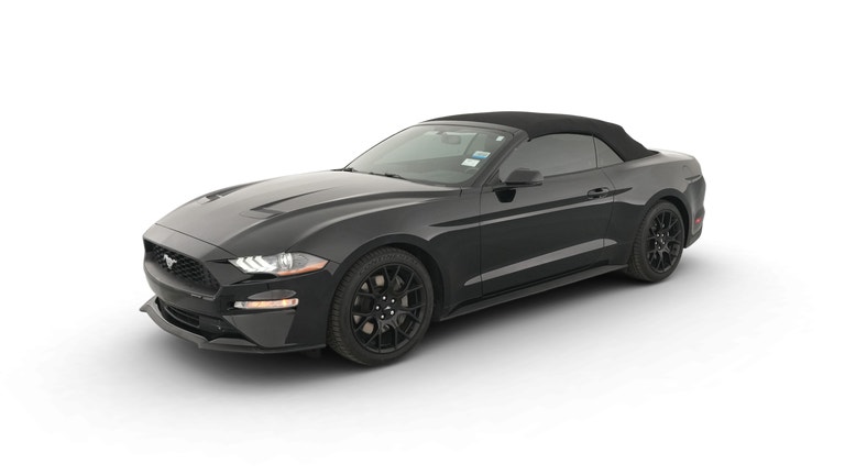 2019 Ford Mustang vehicle photo