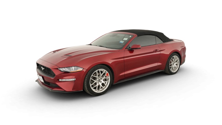 2019 Ford Mustang vehicle photo
