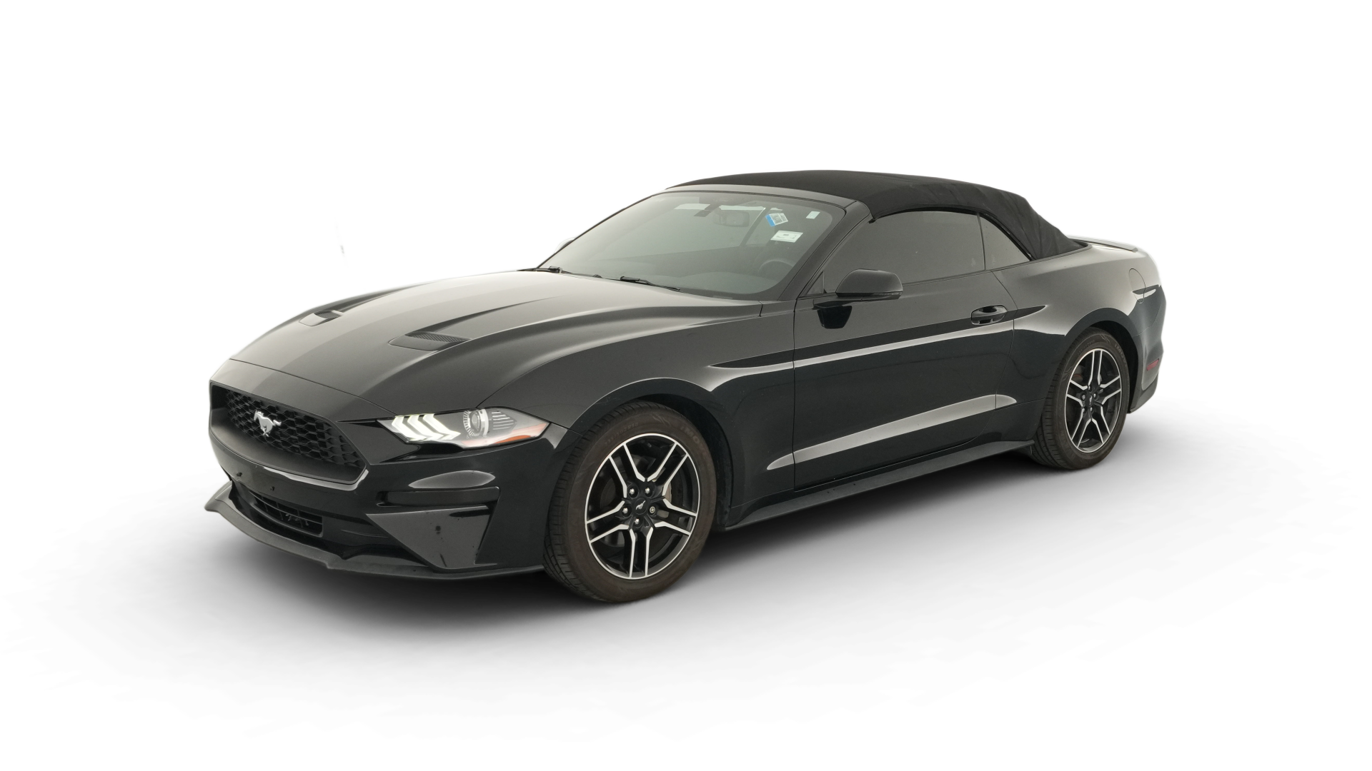 2019 Ford Mustang vehicle photo