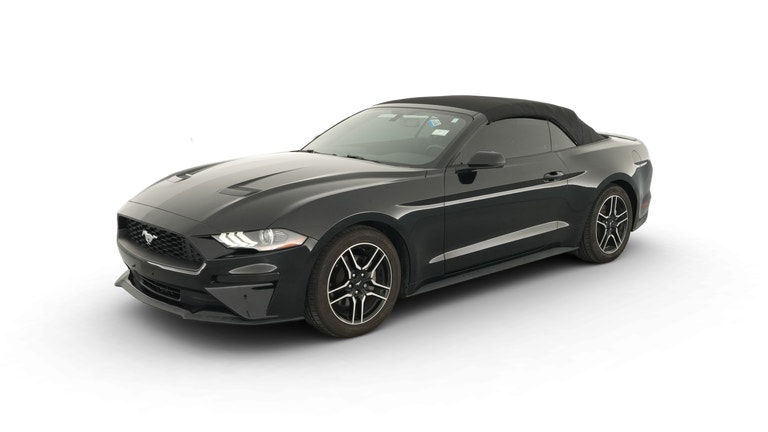 2019 Ford Mustang vehicle photo