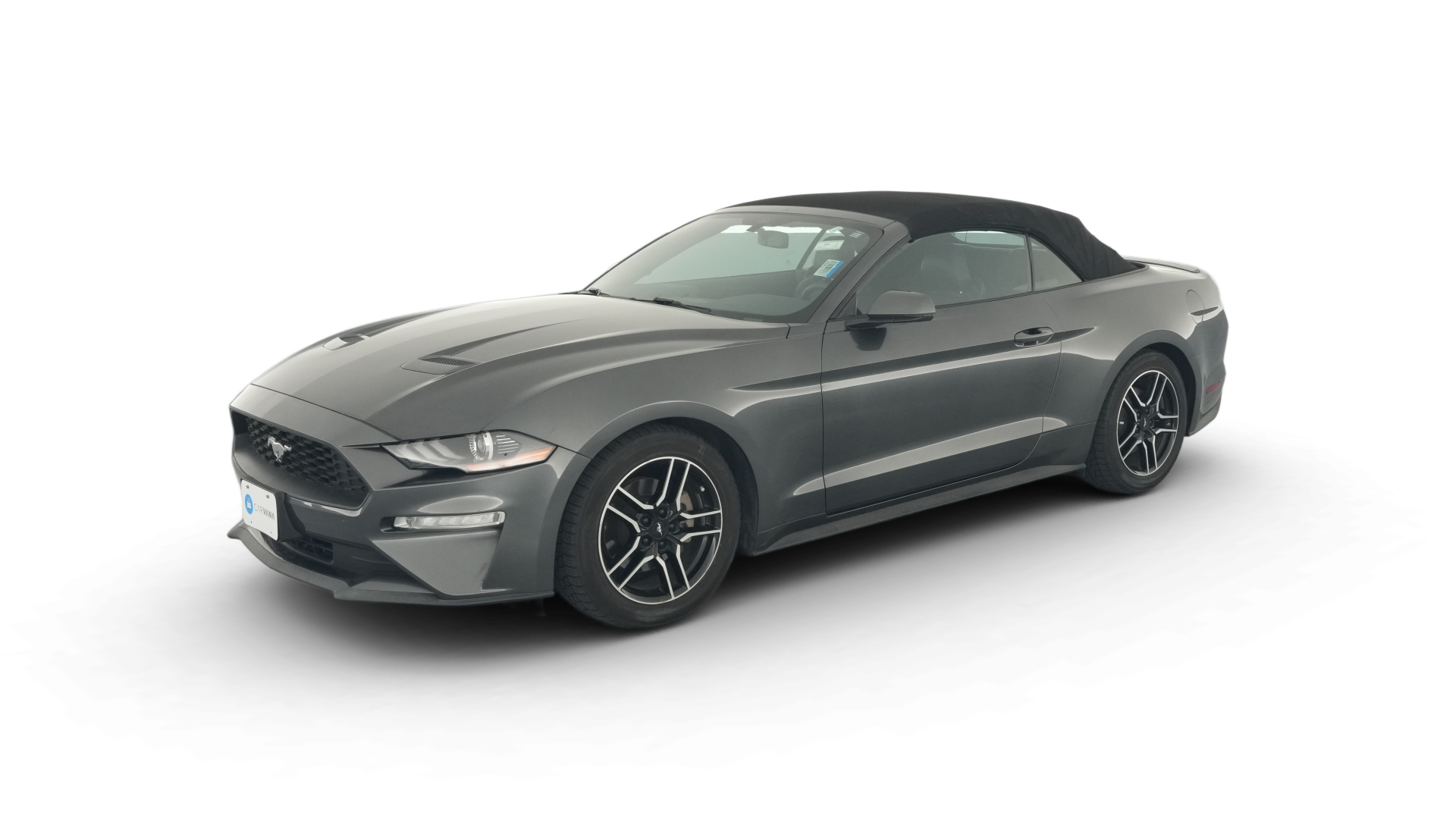 2019 Ford Mustang vehicle photo