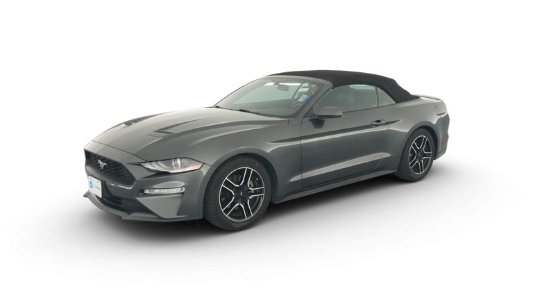 2019 Ford Mustang vehicle photo