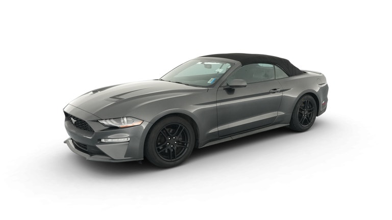 2019 Ford Mustang vehicle photo