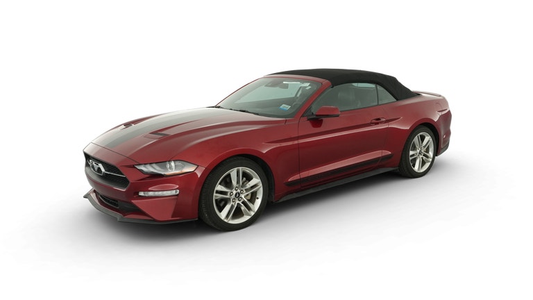 2019 Ford Mustang vehicle photo