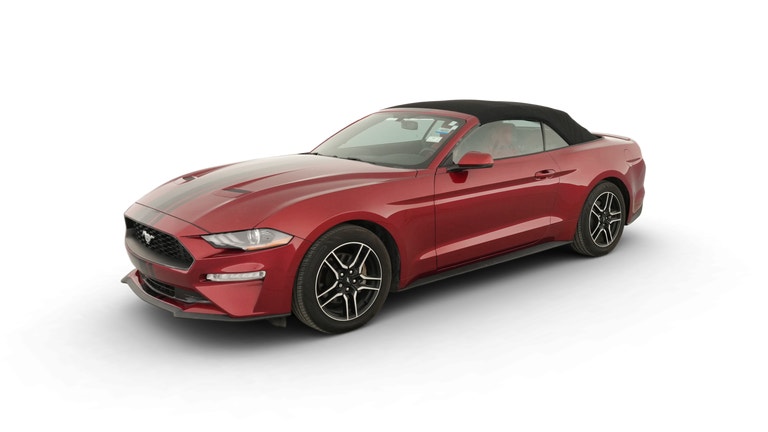 2019 Ford Mustang vehicle photo