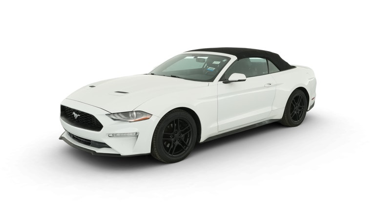 2019 Ford Mustang vehicle photo