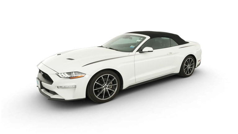 2019 Ford Mustang vehicle photo