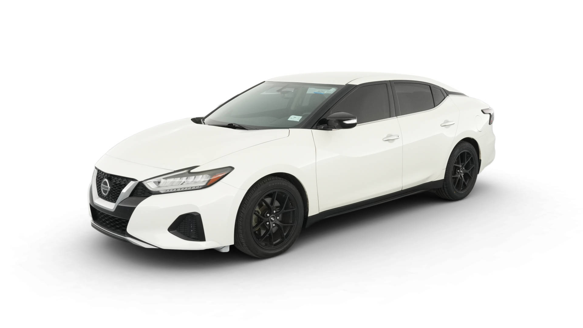 2019 Nissan Maxima vehicle photo