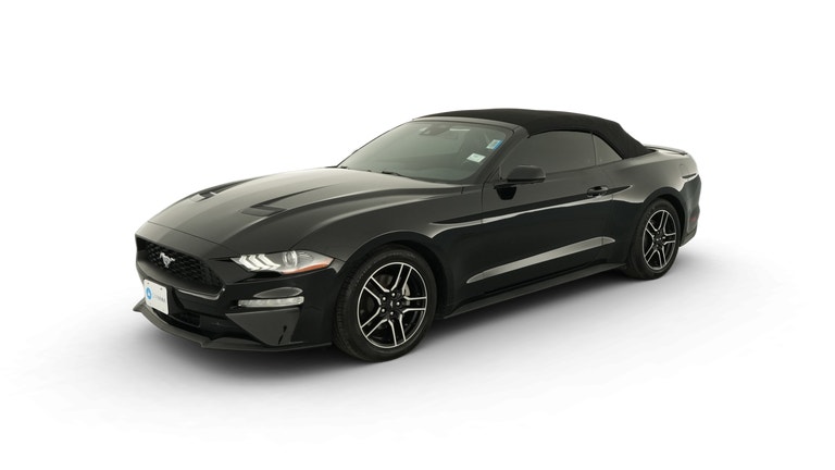 2022 Ford Mustang vehicle photo
