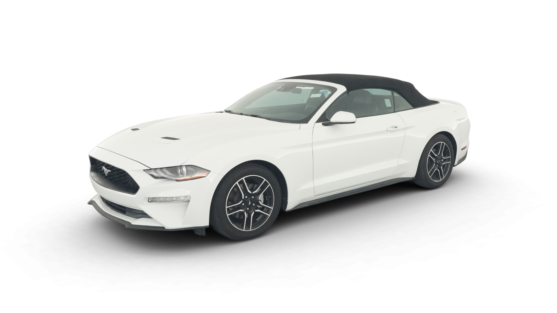 2022 Ford Mustang vehicle photo