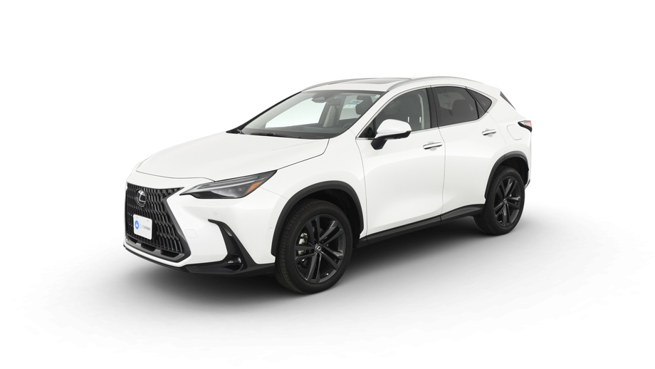 2022 Lexus NX