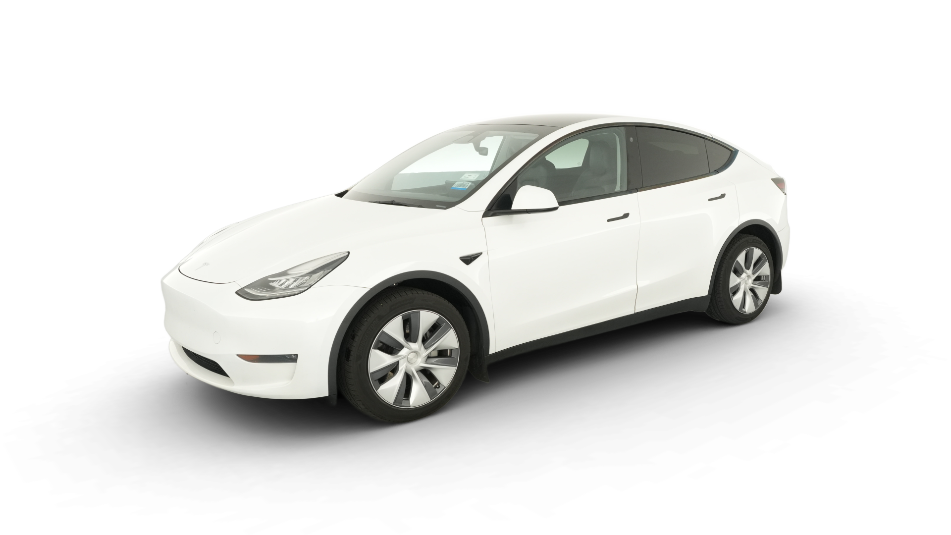 2023 Tesla Model Y vehicle photo