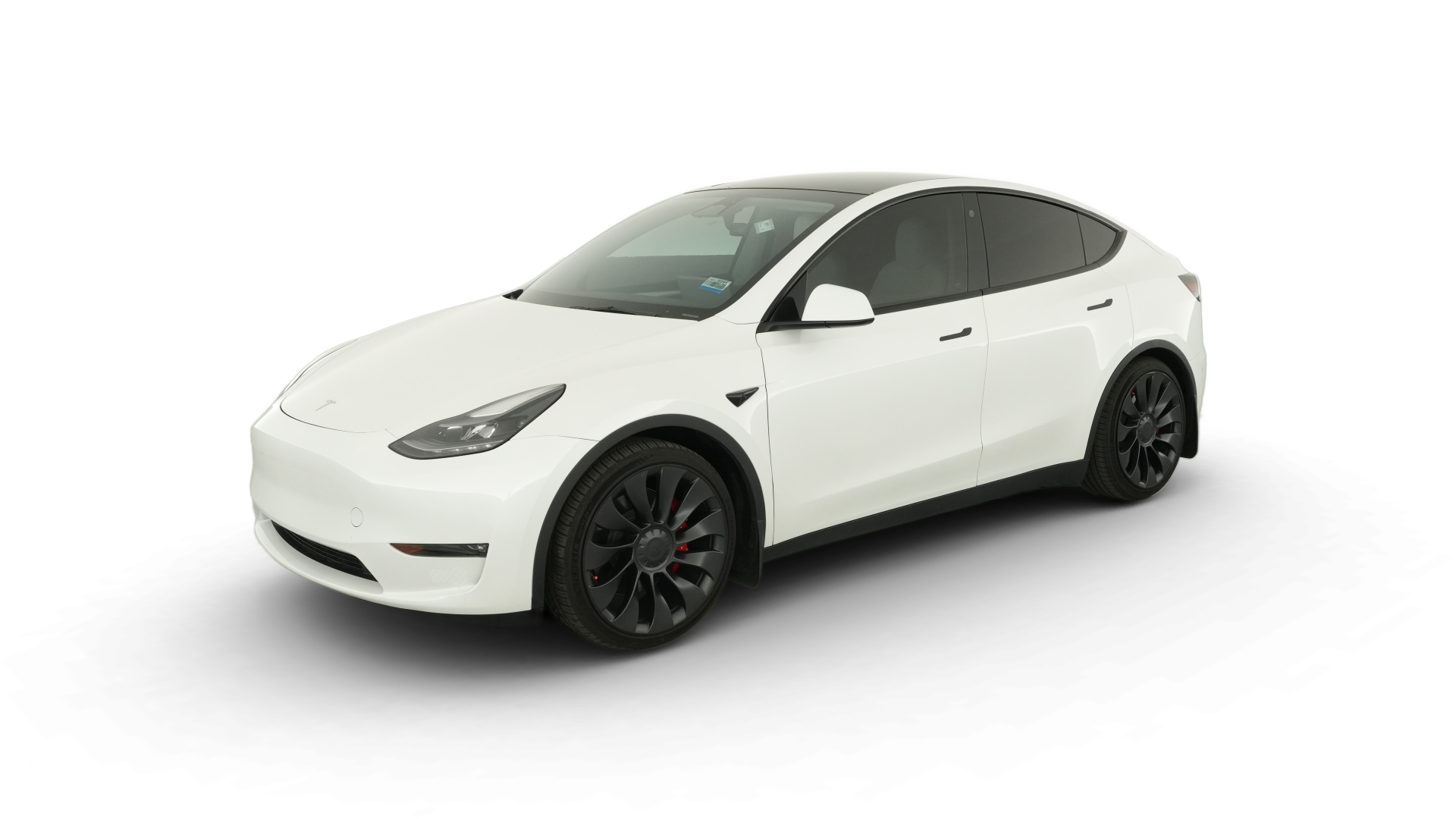 2023 Tesla Model Y vehicle photo