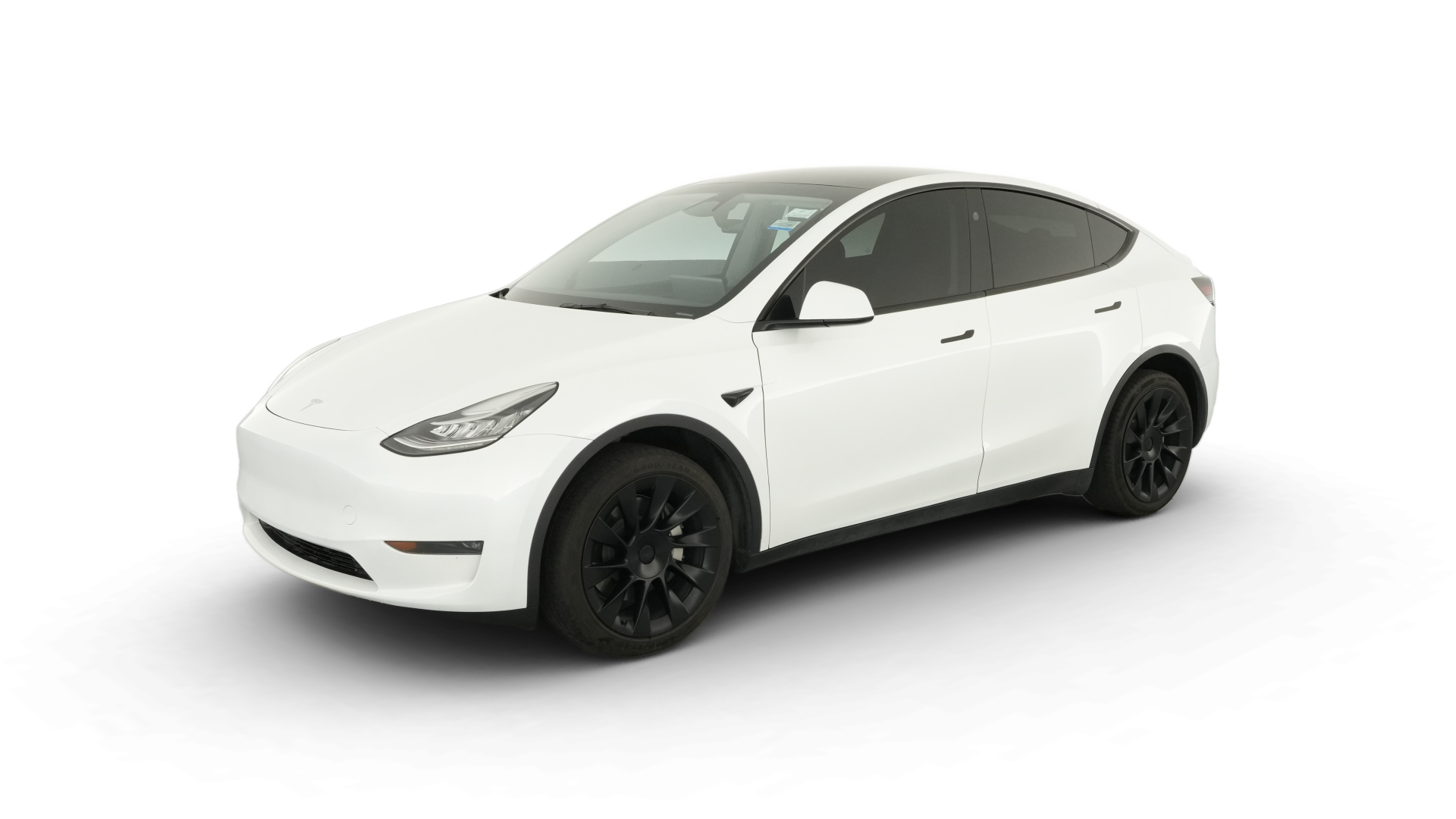 2023 Tesla Model Y vehicle photo