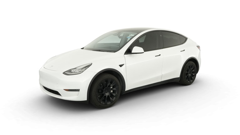 2023 Tesla Model Y vehicle photo