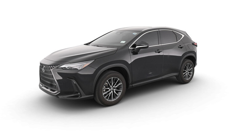 2024 Lexus NX vehicle photo