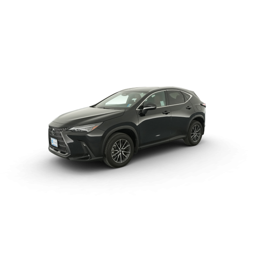 2024 Lexus NX