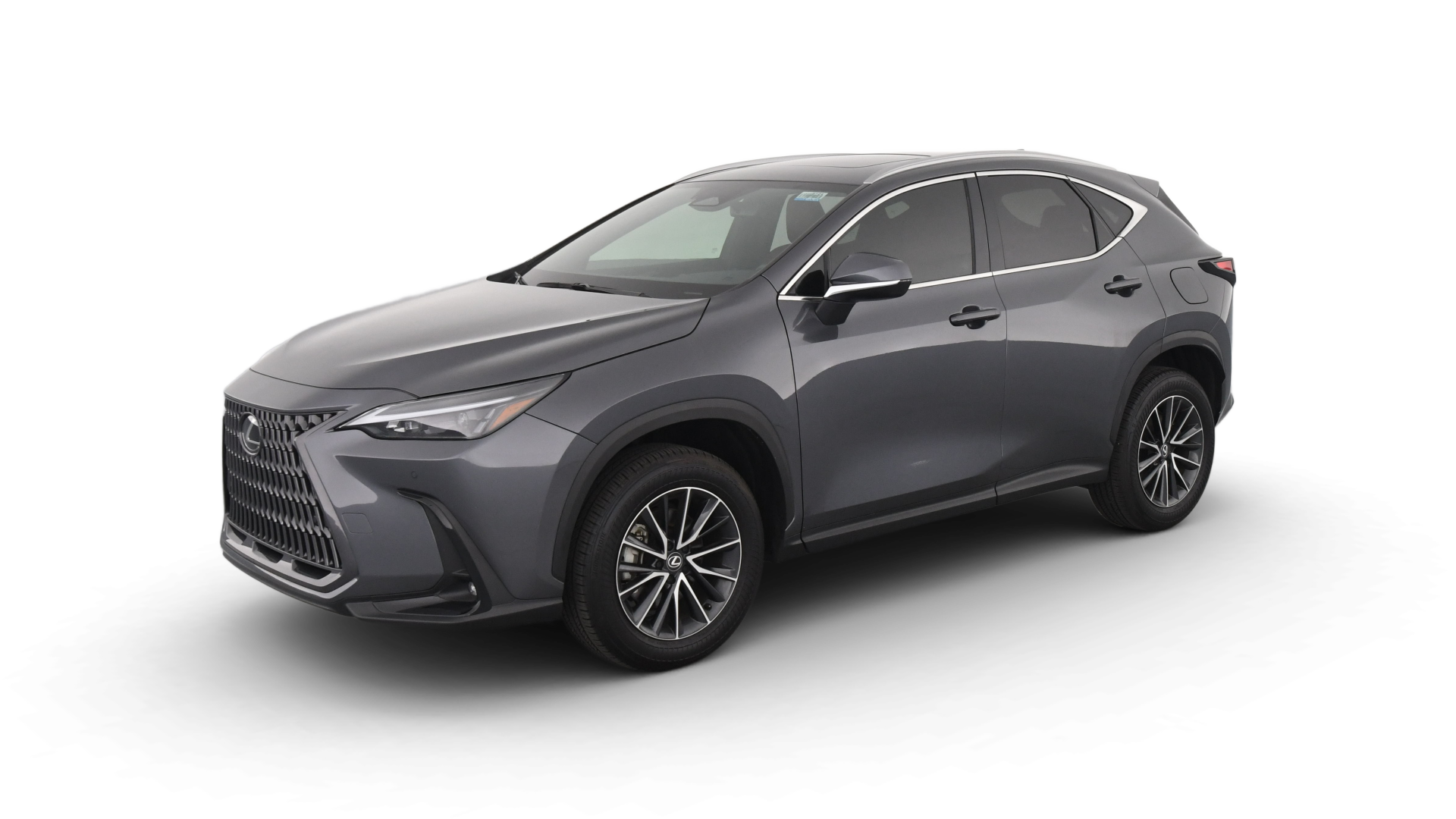 2024 Lexus NX