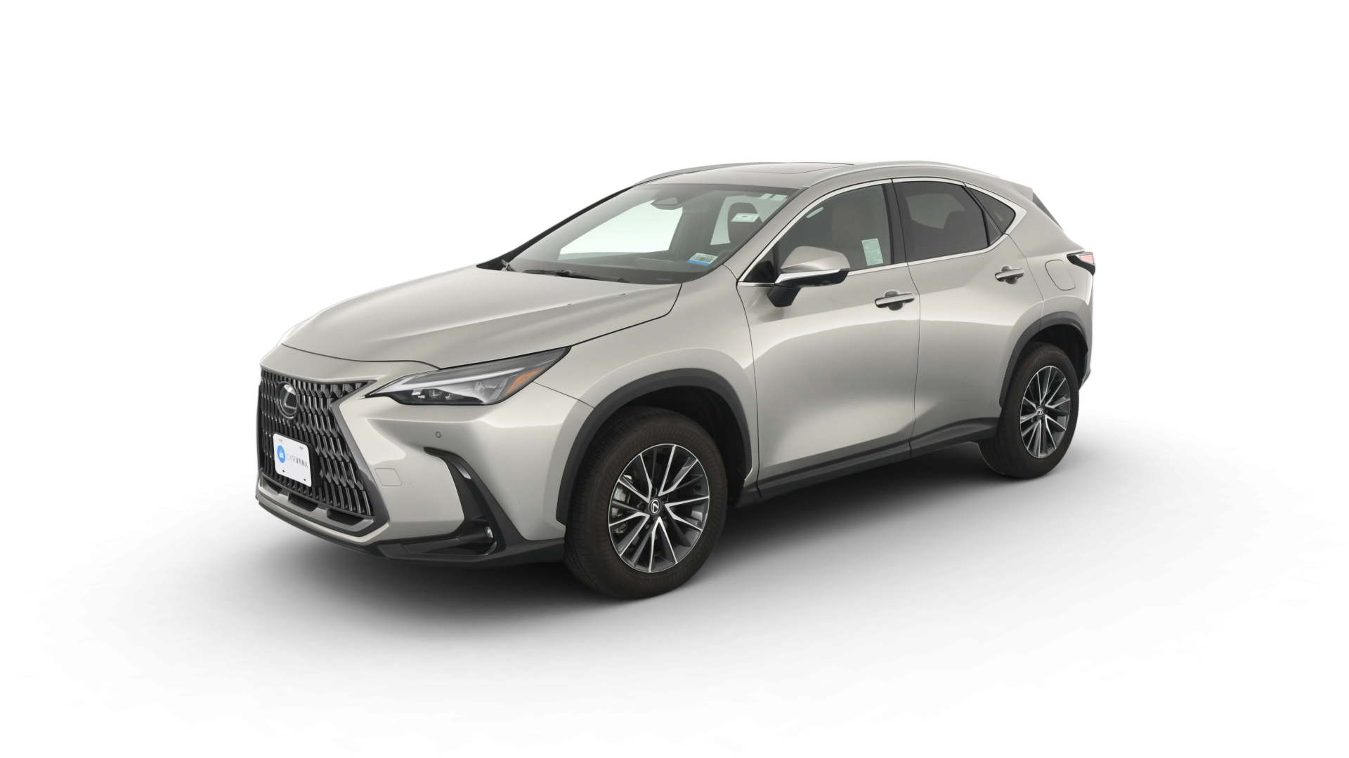 2024 Lexus NX