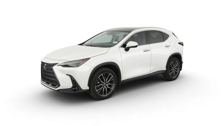 2024 Lexus NX vehicle photo