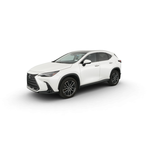 2024 Lexus NX