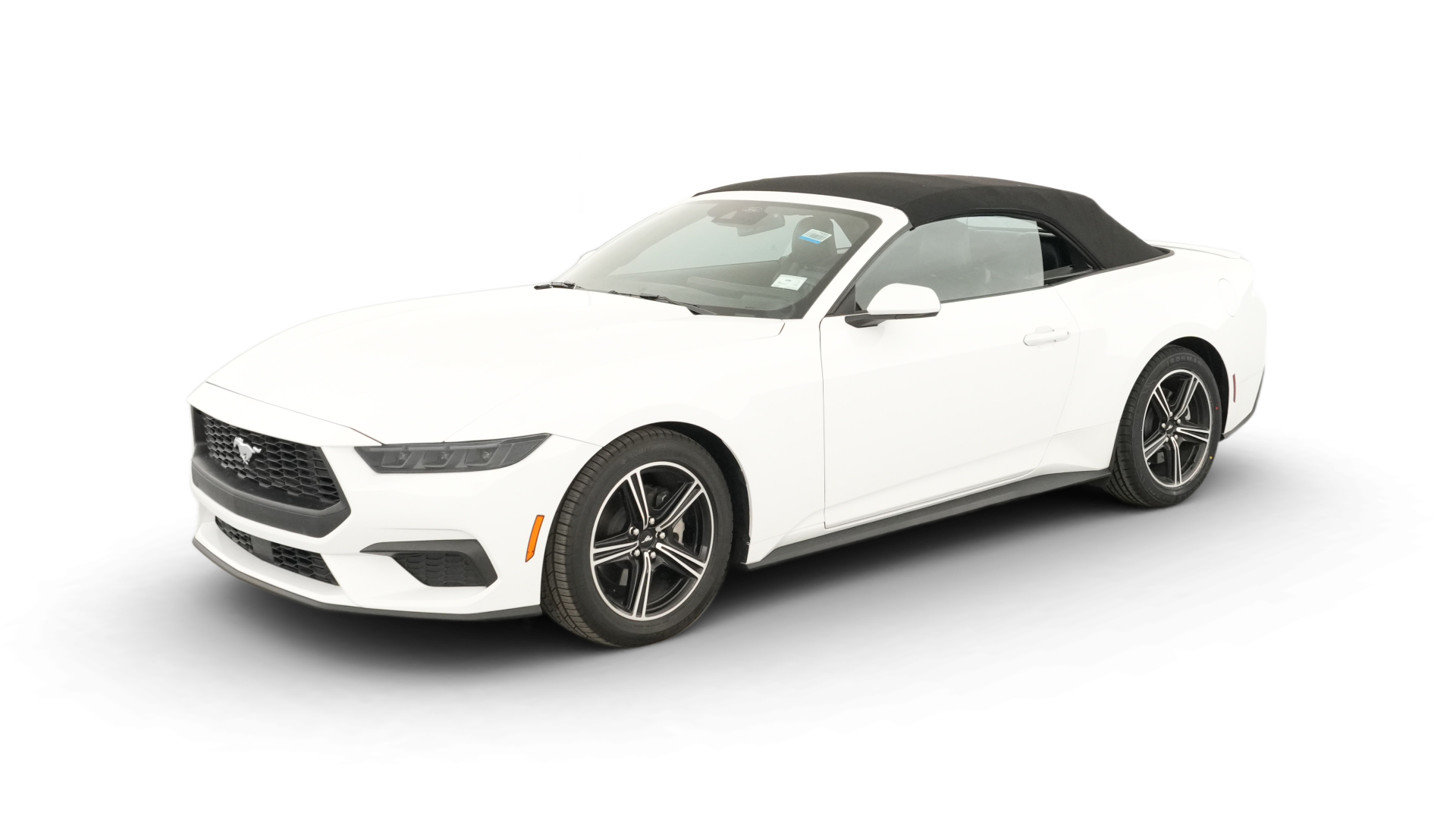2025 Ford Mustang vehicle photo